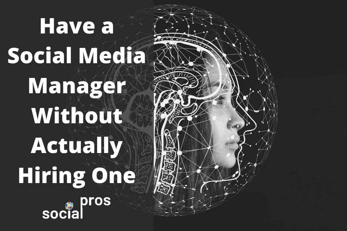 You are currently viewing Have a Social Media Manager Without Actually Hiring One
