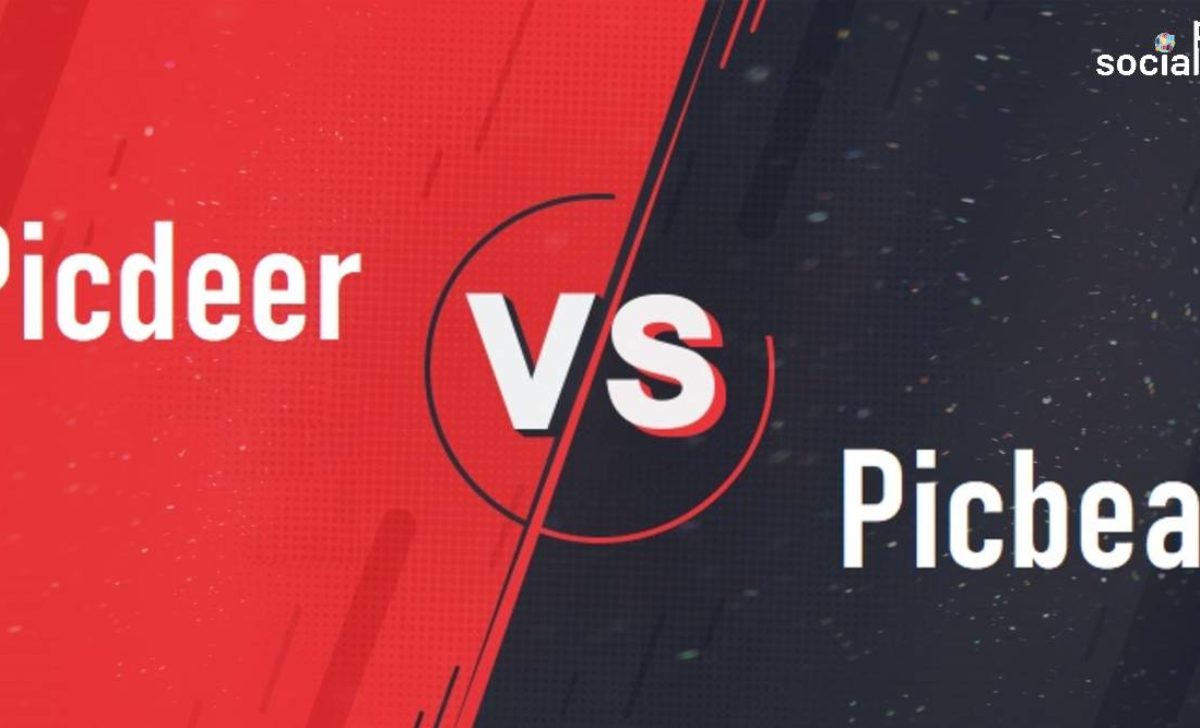 Picdeer vs Picbear: The Best Instagram Web Viewer