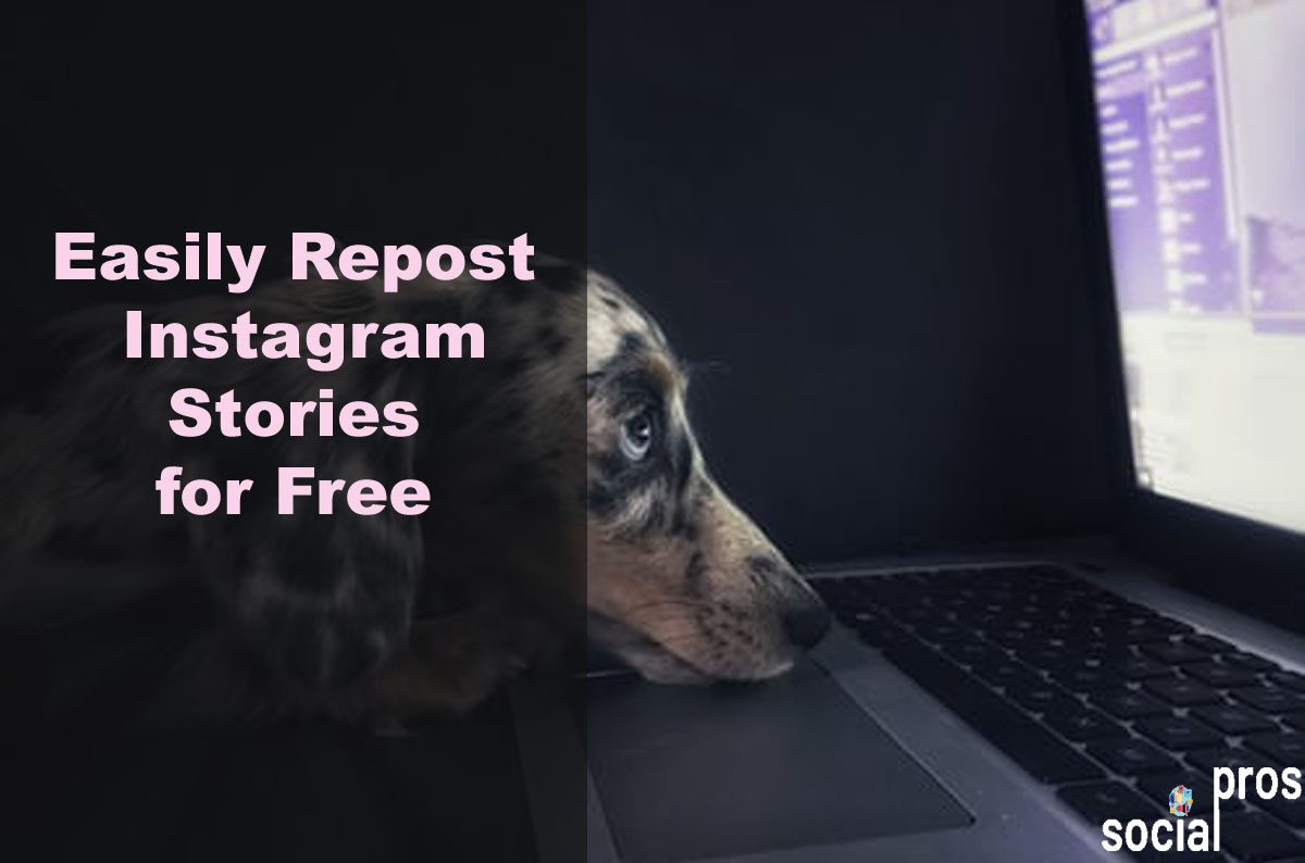 You are currently viewing Easily Repost Instagram Stories for Free
