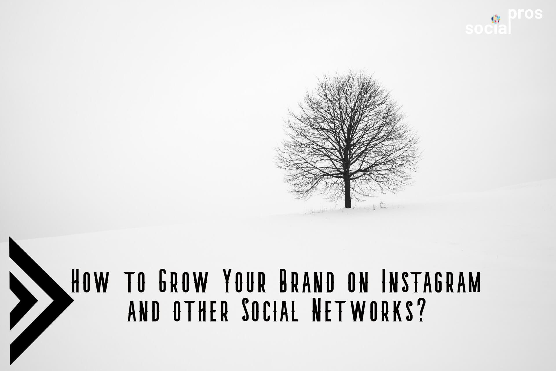 You are currently viewing Grow Your Brand on Instagram and other Social Networks