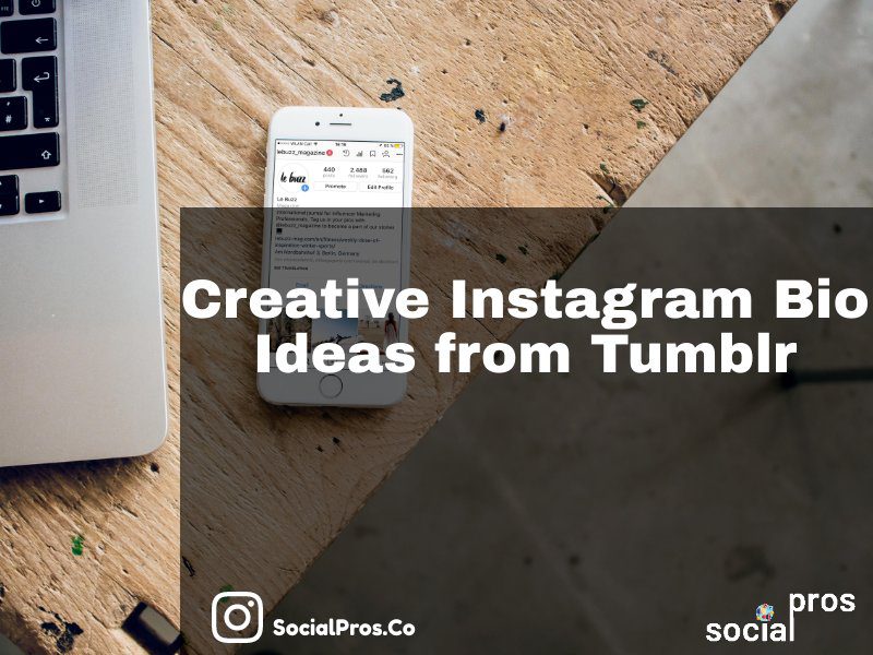 Creative Instagram Bios from Tumblr +50 Quotes
