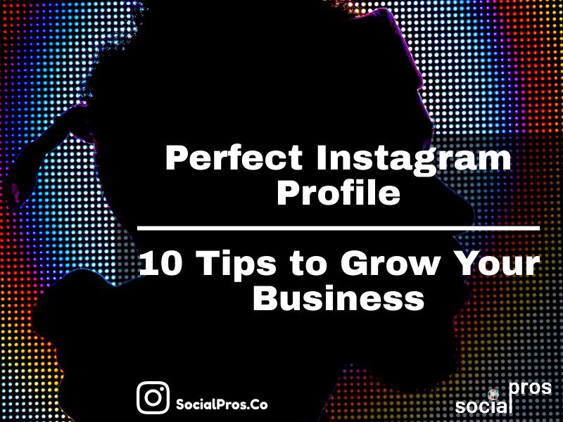 You are currently viewing Perfect Instagram Profile: 10 Tips to Grow Your Business