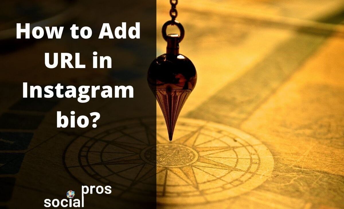 How to Add URL in Instagram Bio? The Ultimate 2021 Guide