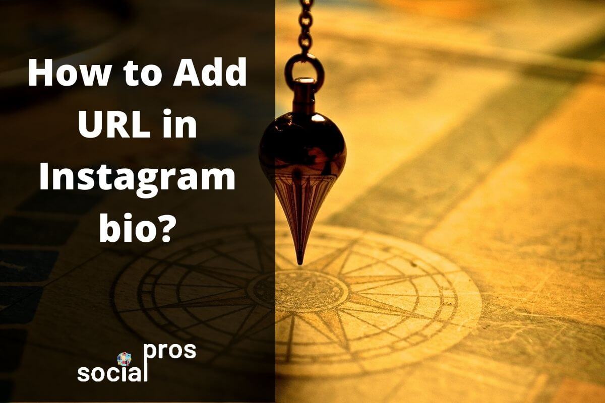 You are currently viewing How to Add URL in Instagram Bio? The Ultimate 2021 Guide