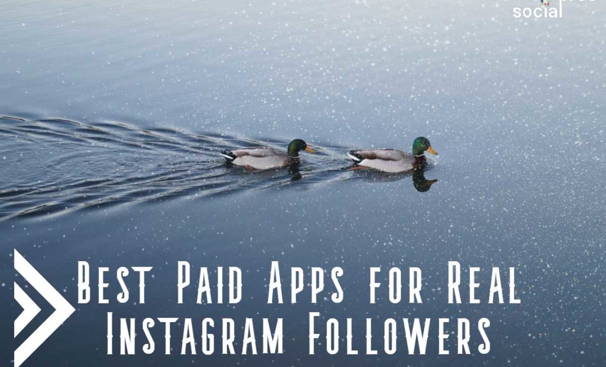 5 Best Paid Apps for Instagram Followers to Trust in 2021