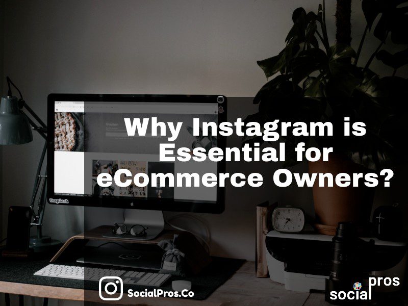 You are currently viewing Why Instagram is Essential for Ecommerce Owners?