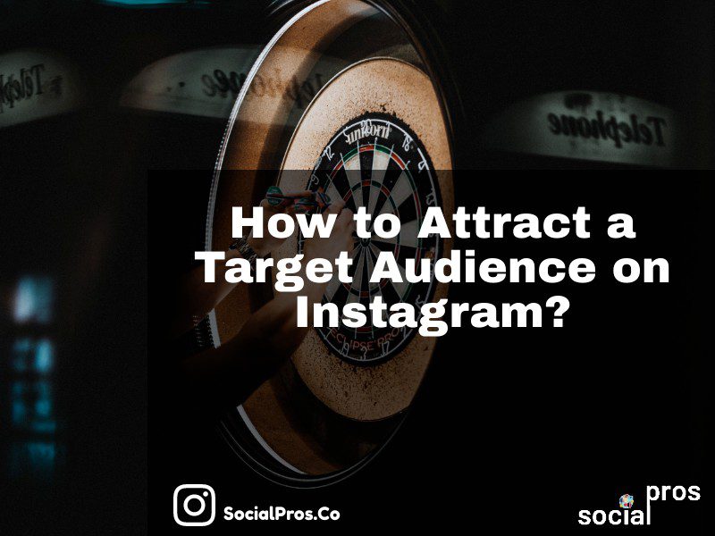 You are currently viewing How to Attract a Target Audience on Instagram? Tips & Tricks