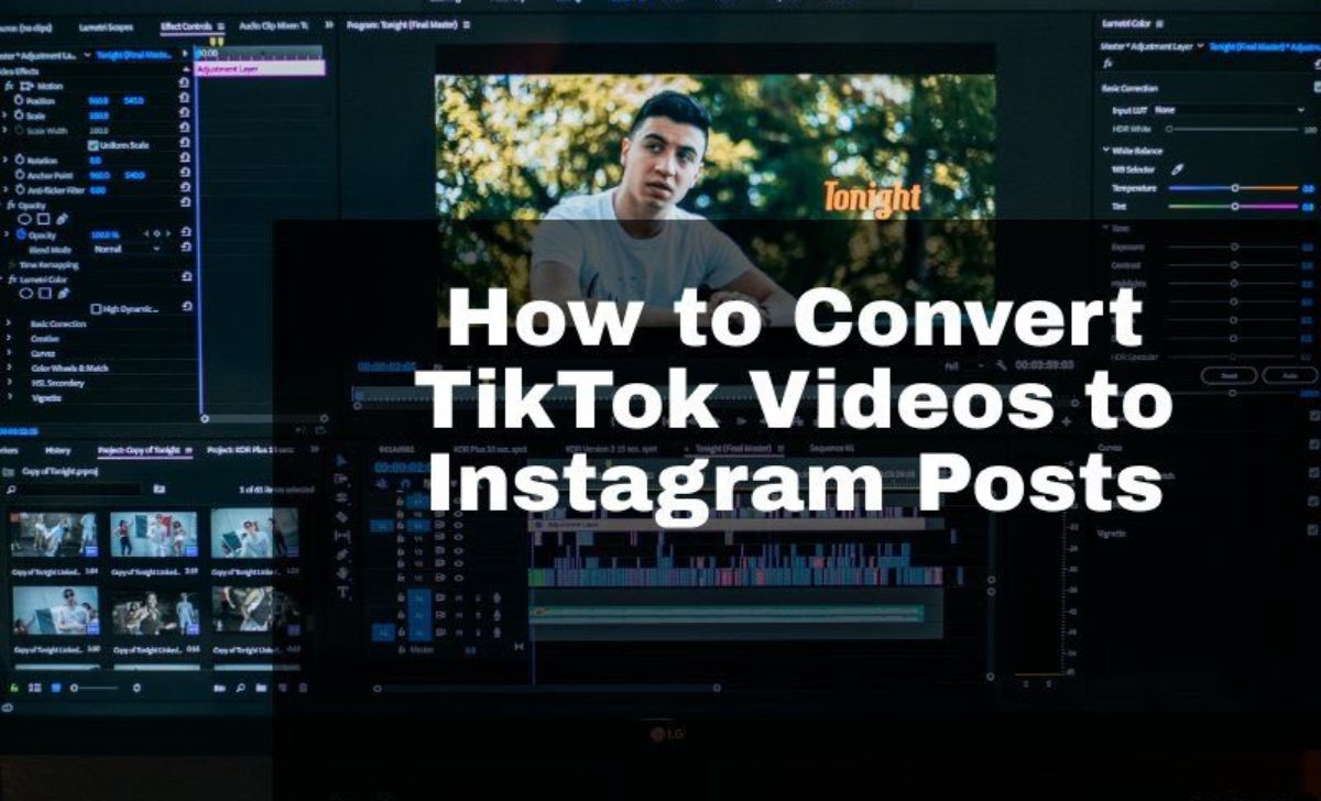 How to Convert TikTok Videos to Instagram Posts