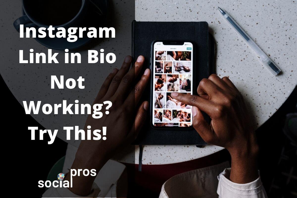 You are currently viewing Instagram Link in Bio Not Working? Try This!