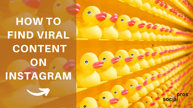 You are currently viewing How to find viral photos and trending content on Instagram?