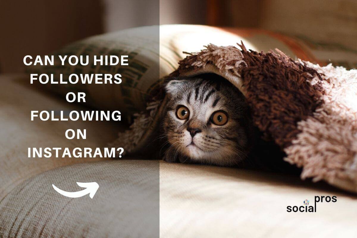 Can You Hide Followers or Followings on Instagram