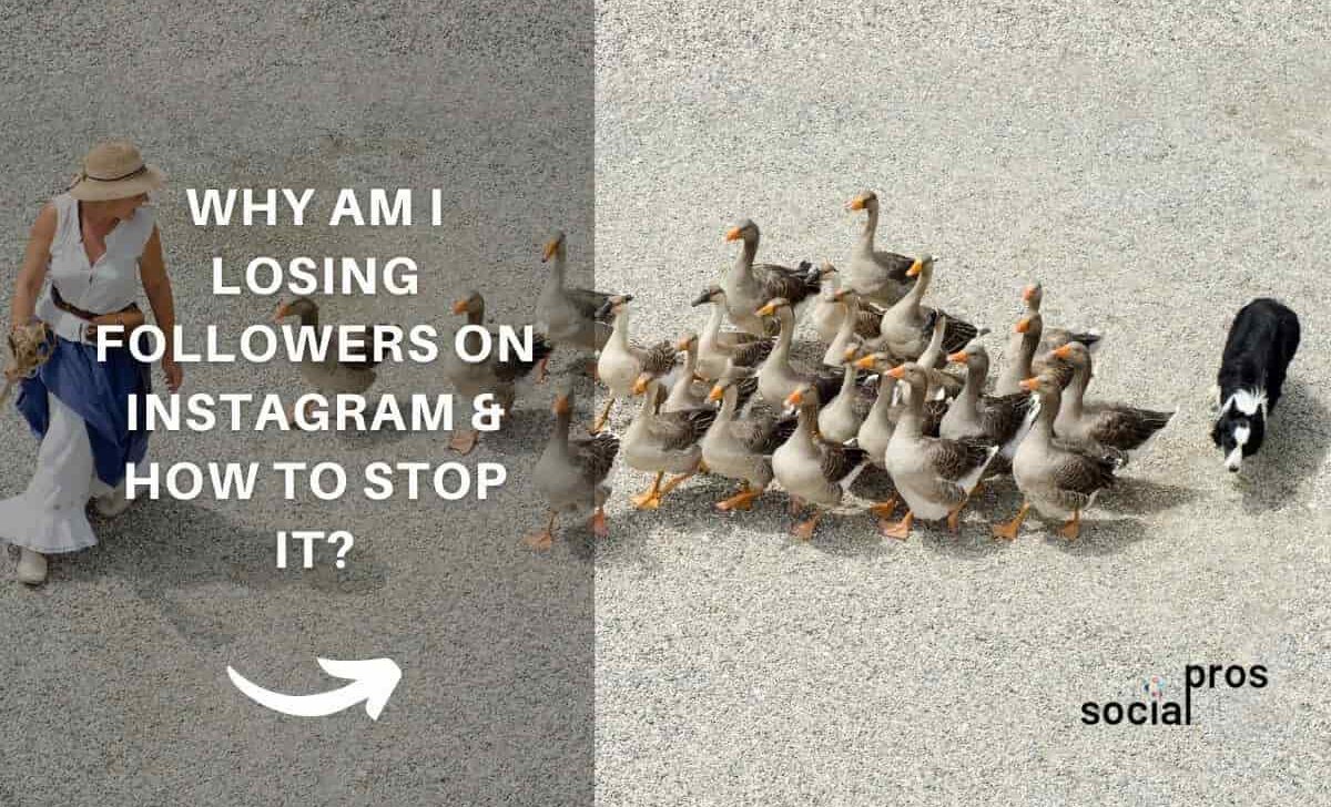 Why Am I Losing Followers on Instagram & How to Stop It?
