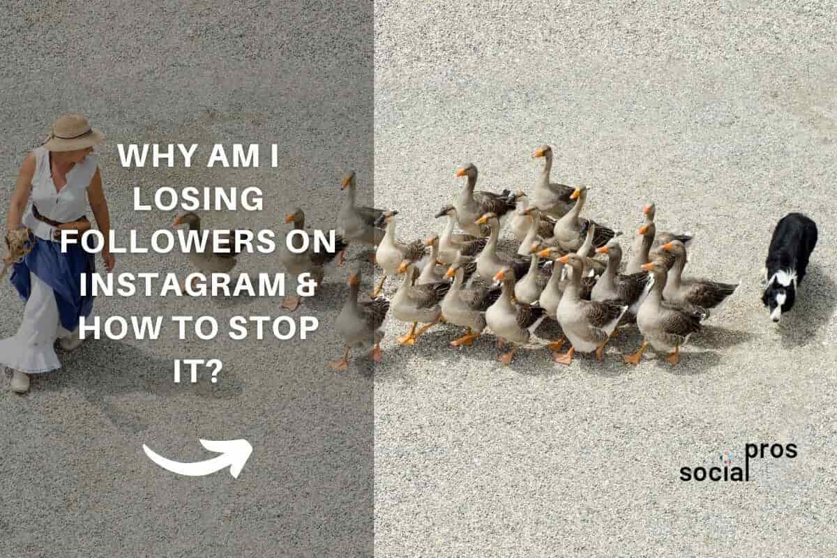 You are currently viewing Why Am I Losing Followers on Instagram & How to Stop It?