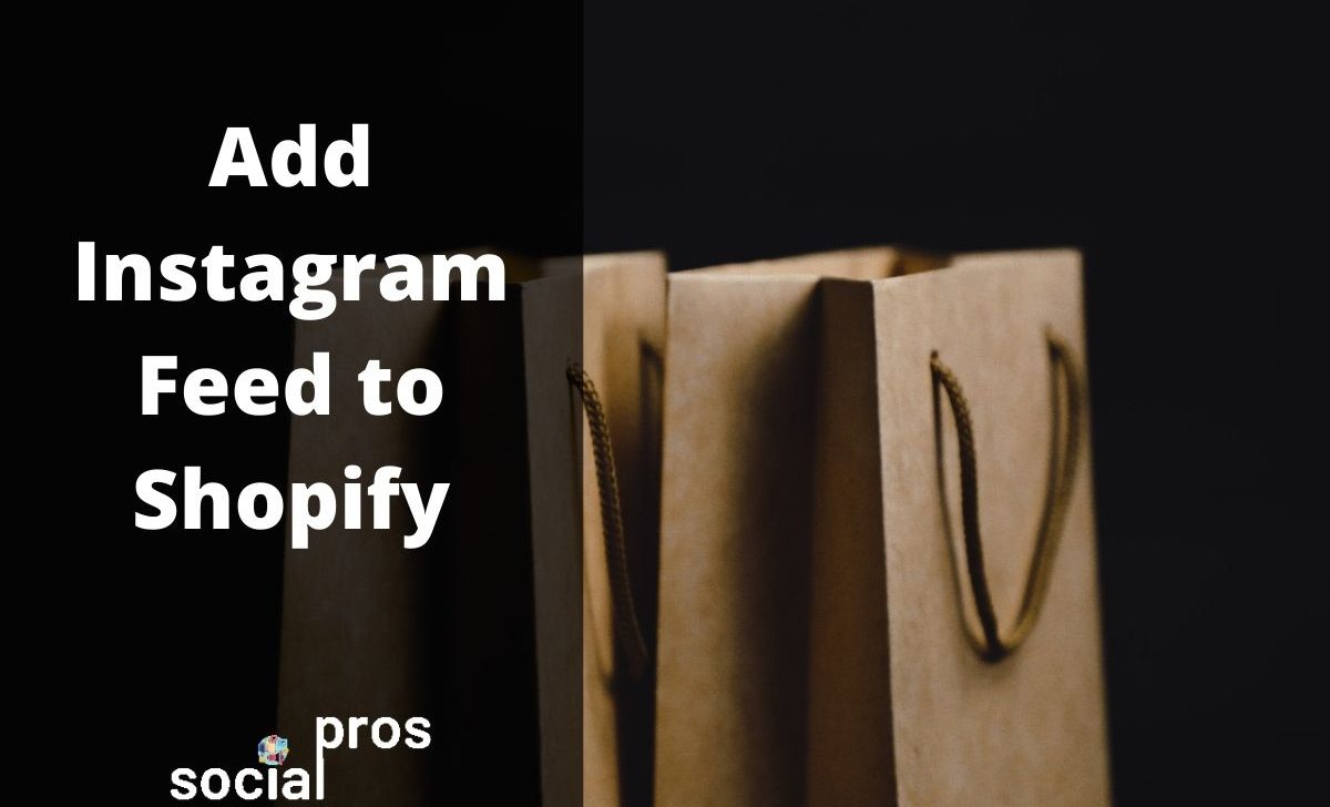 How to Add Instagram Feed to Shopify? The Ultimate Guide