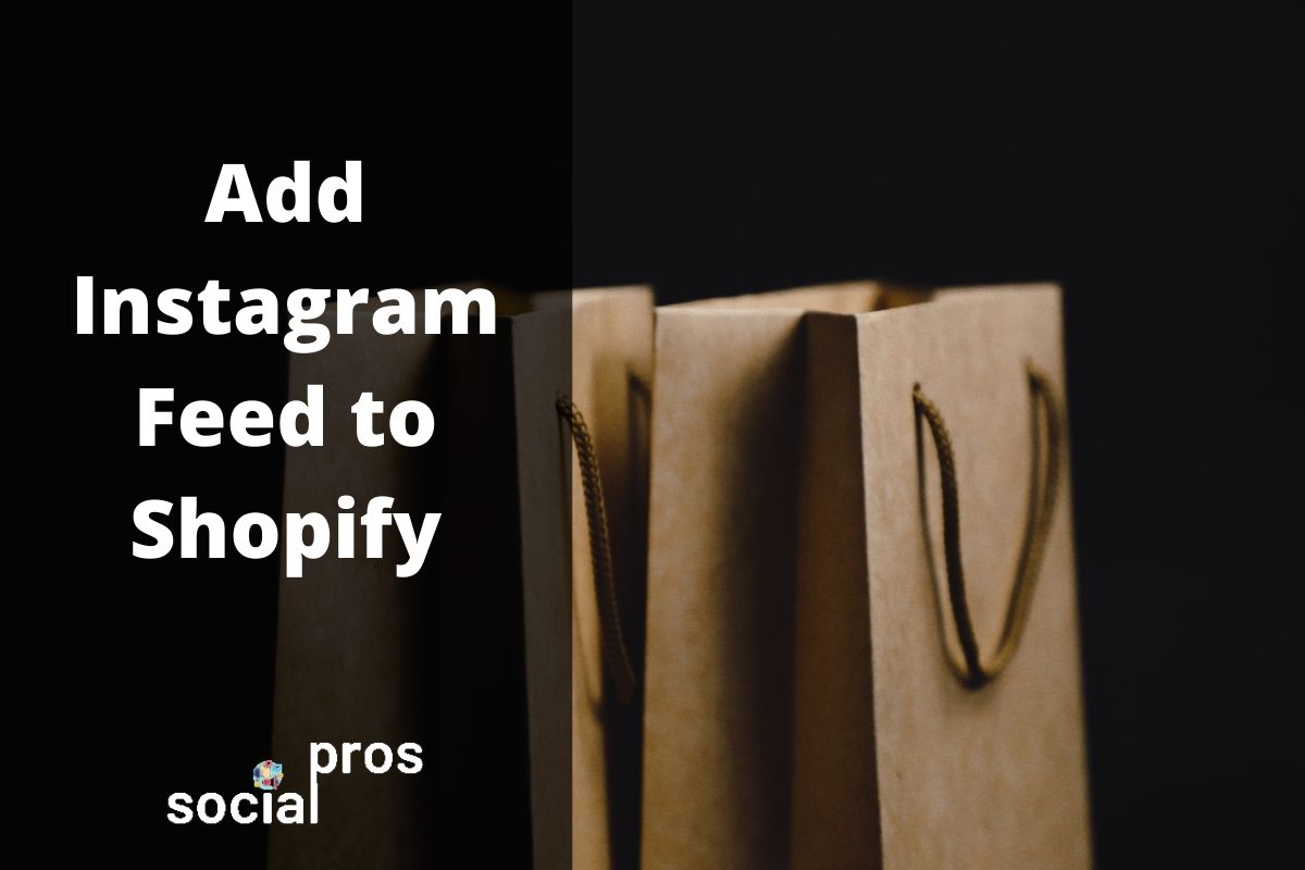 You are currently viewing How to Add Instagram Feed to Shopify? The Ultimate Guide