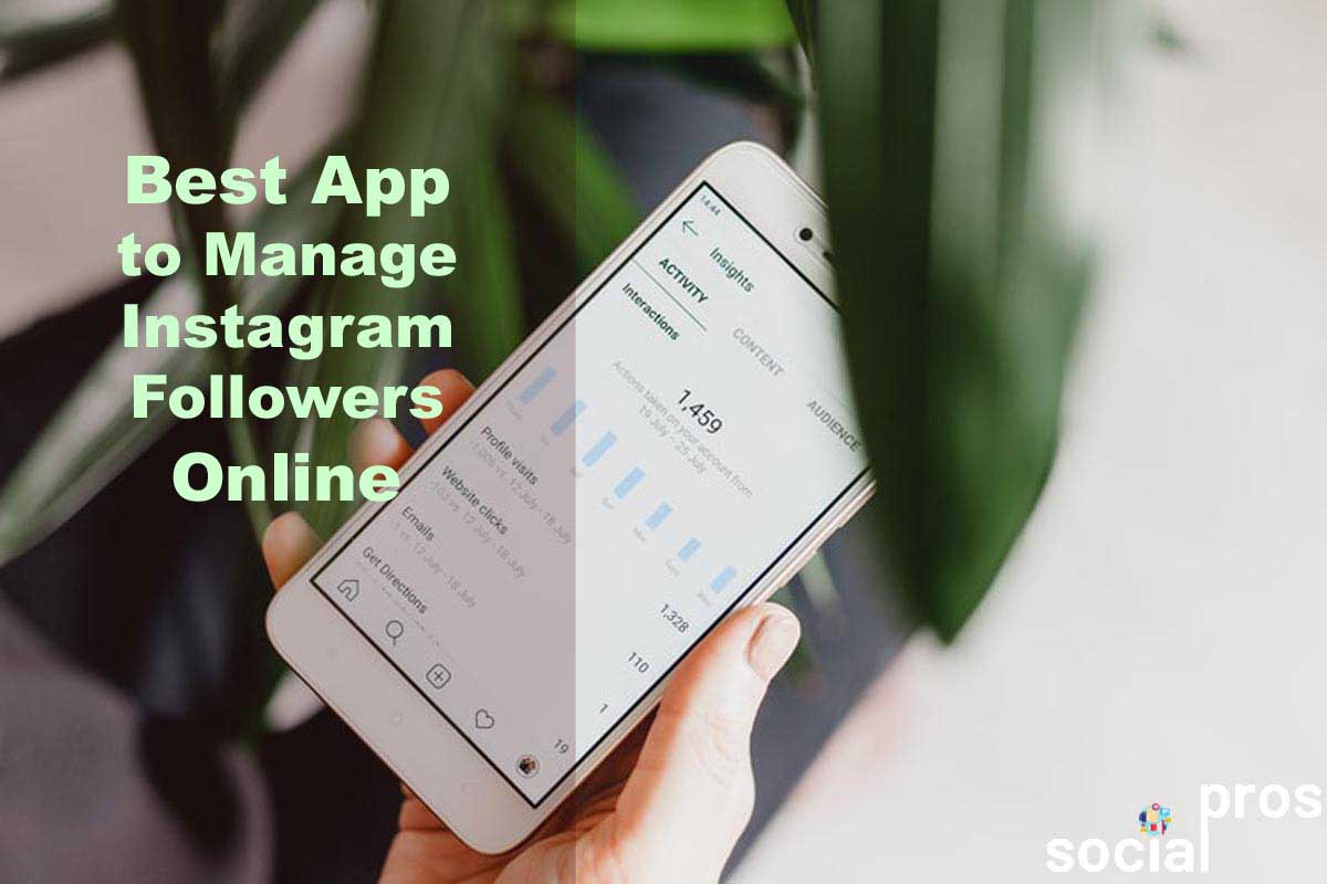 Best App to Manage Instagram Followers Online