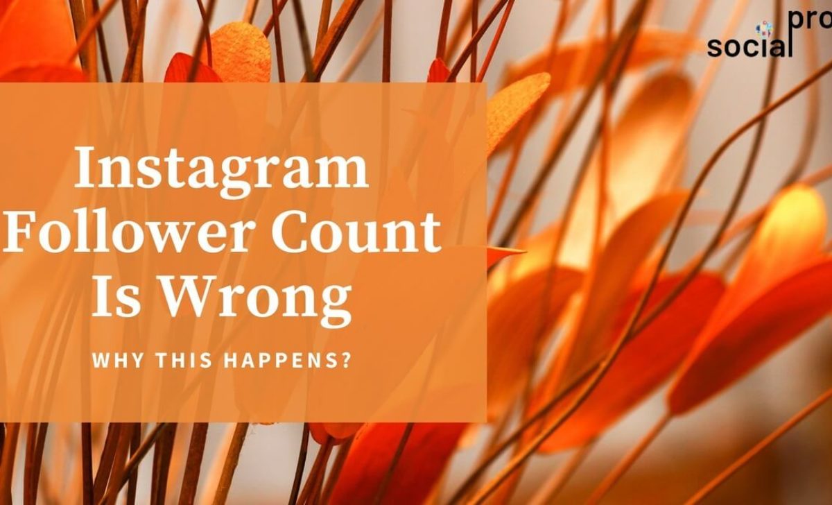 Instagram Follower Count Is Wrong! But Why?