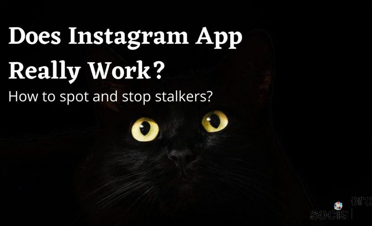 Does An Instagram Stalker App Really Work? +Tips To Stop Stalkers