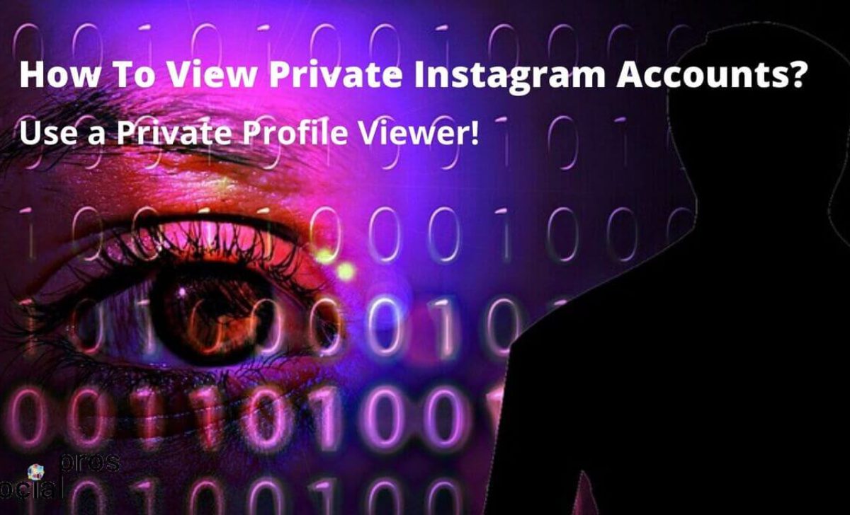 How To View Private Instagram Accounts? Use a Private Profile Viewer!