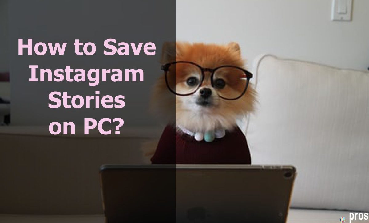 How to Save Instagram Stories on PC?