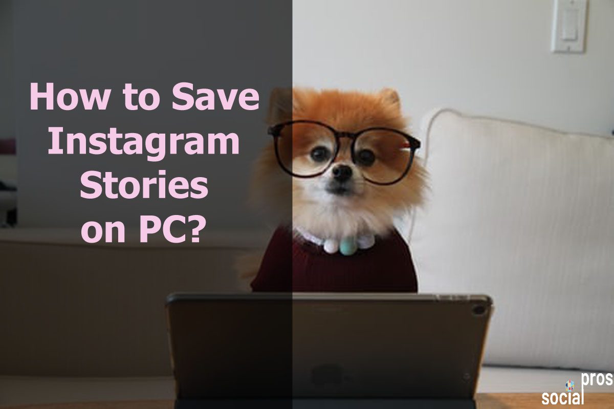 How to Save Instagram Stories on PC