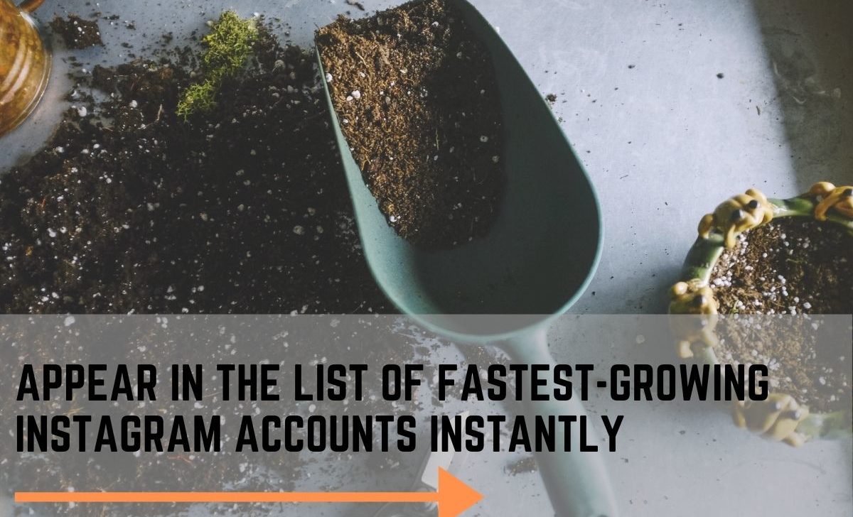 Appear in the List of Fastest Growing Instagram Accounts