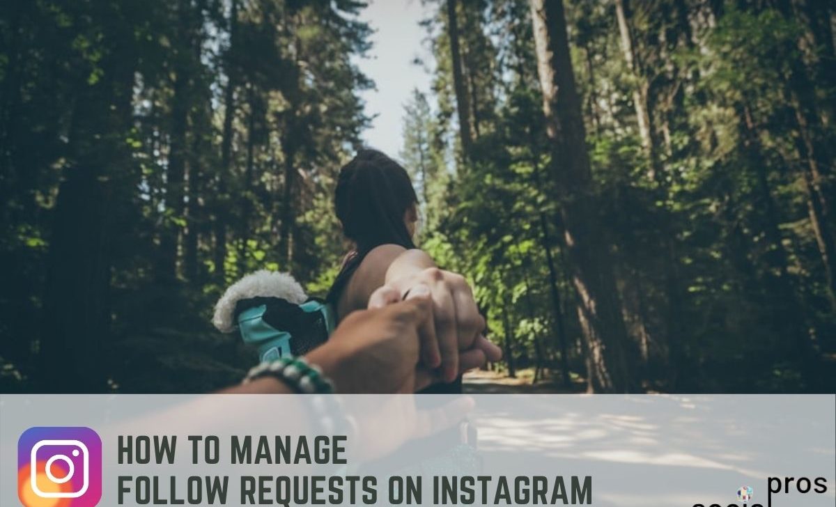 Follow Requests on Instagram: Manage Them Professionally