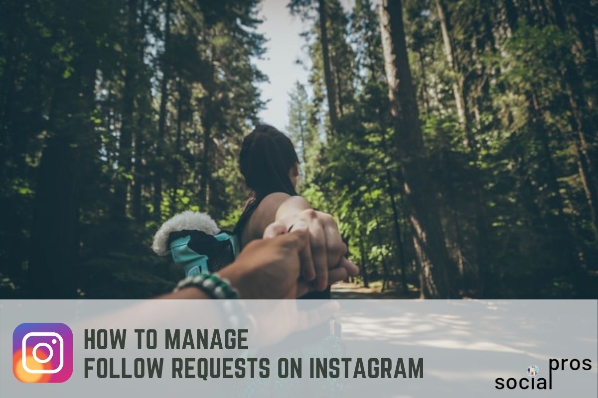 How to manage follow requests on Instagram