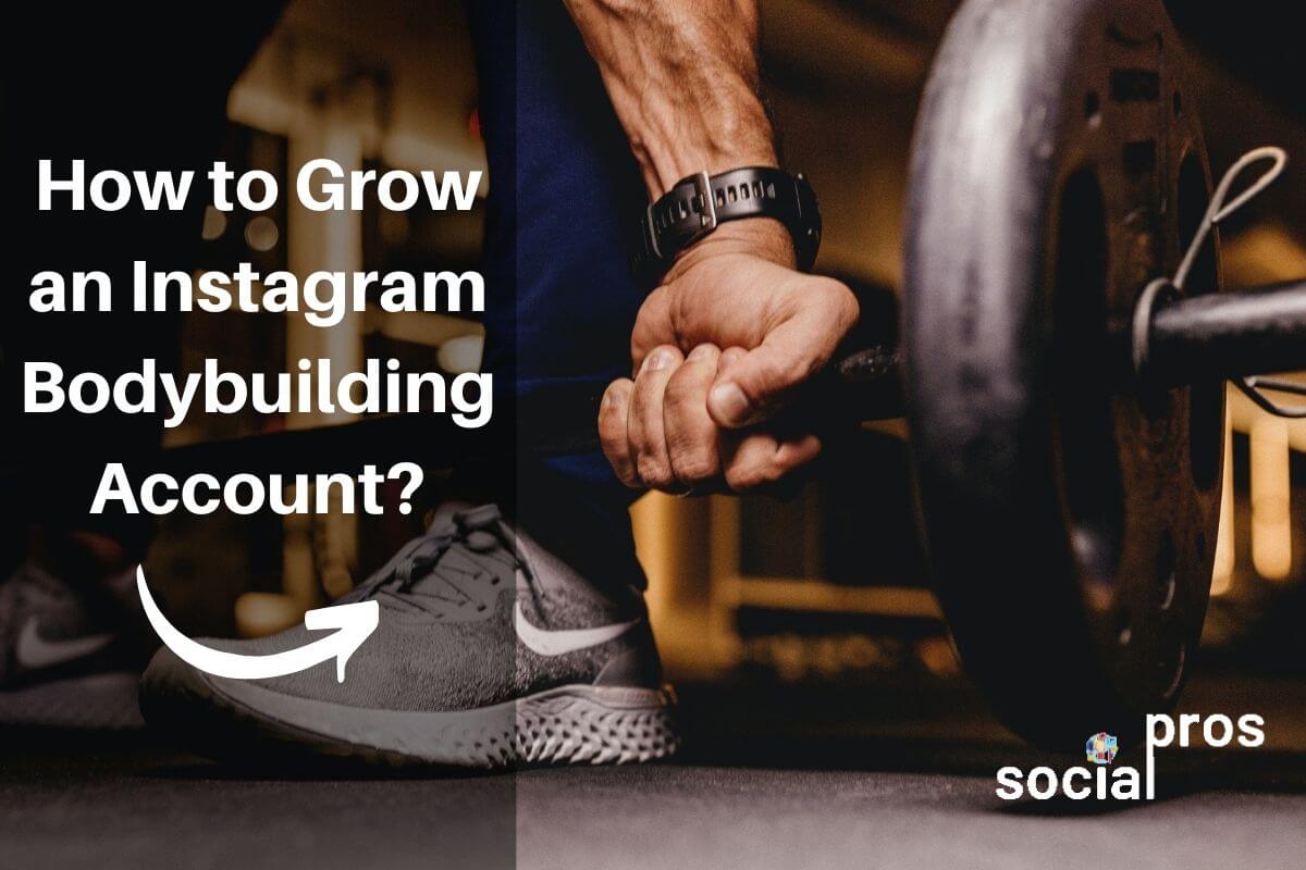 You are currently viewing How to Grow an Instagram Bodybuilding Account?