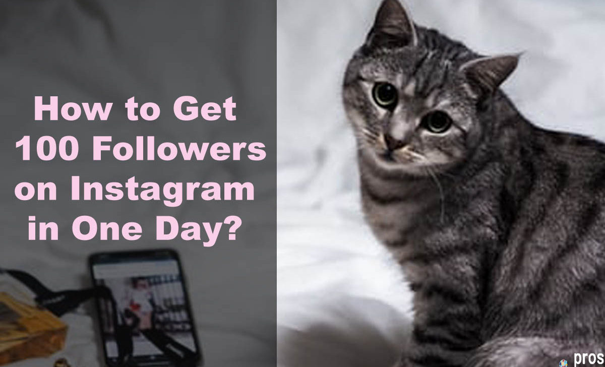 How to Get 100 Followers on Instagram in One Day?