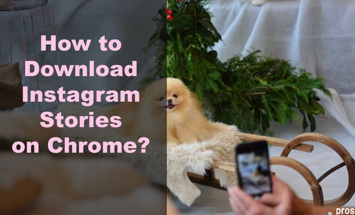 How to Download Instagram Stories on Chrome?