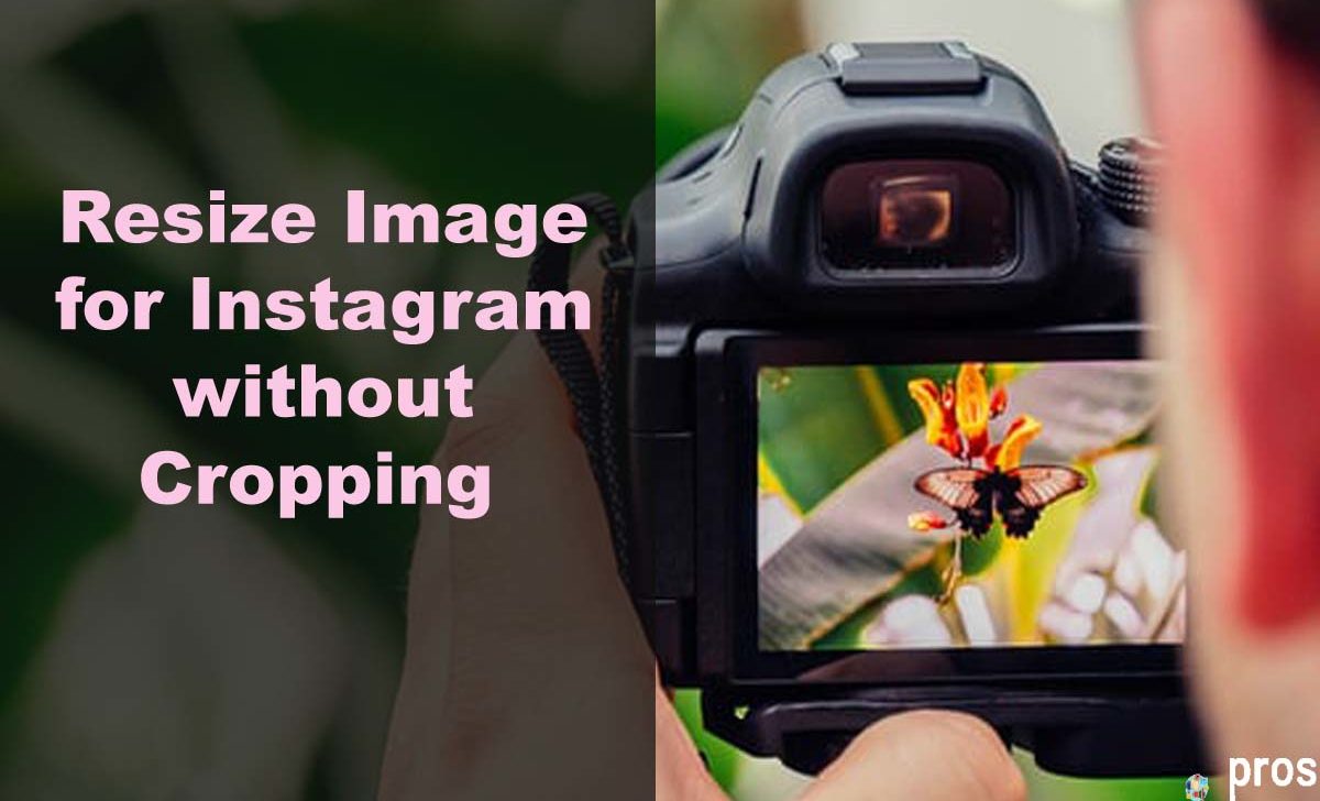 Resize Image for Instagram without Cropping