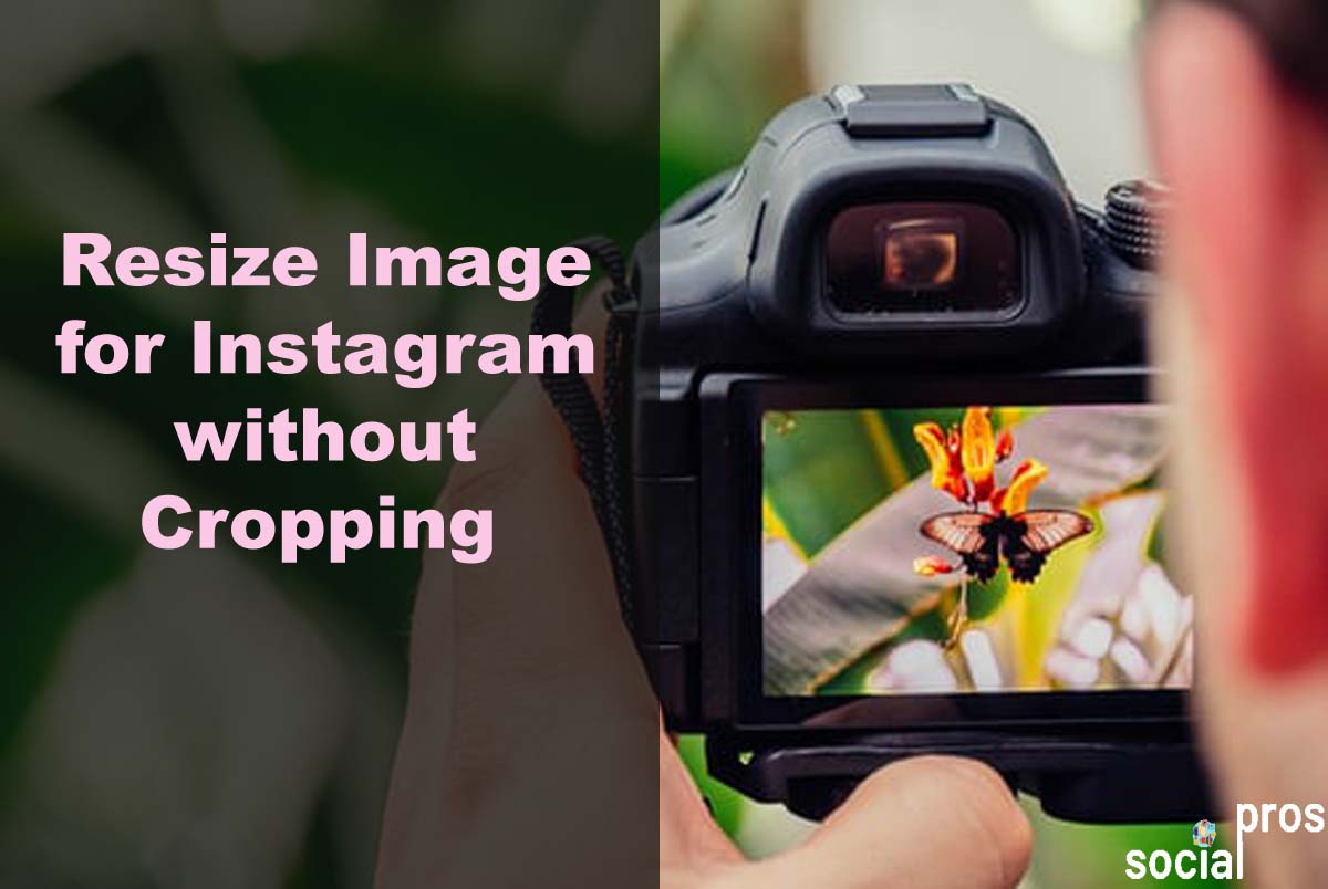 Resize Image for Instagram without Cropping