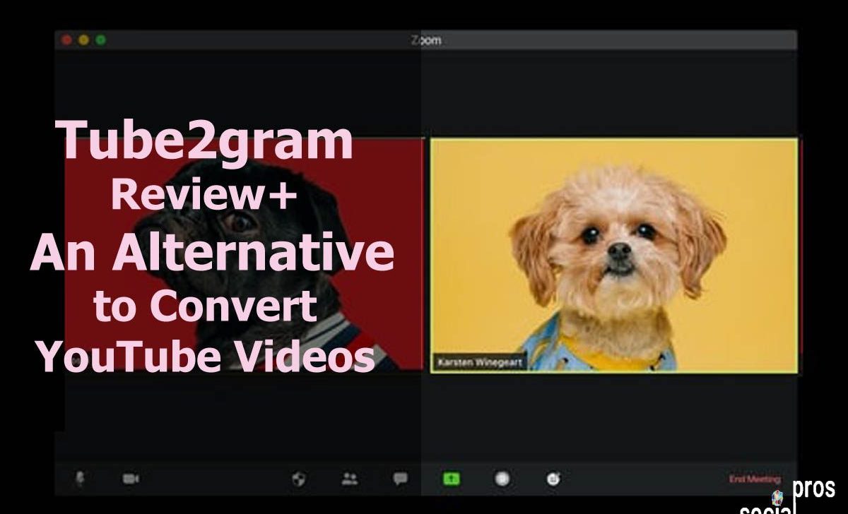 Tube2Gram Review+ Alternatives to Convert YouTube Videos