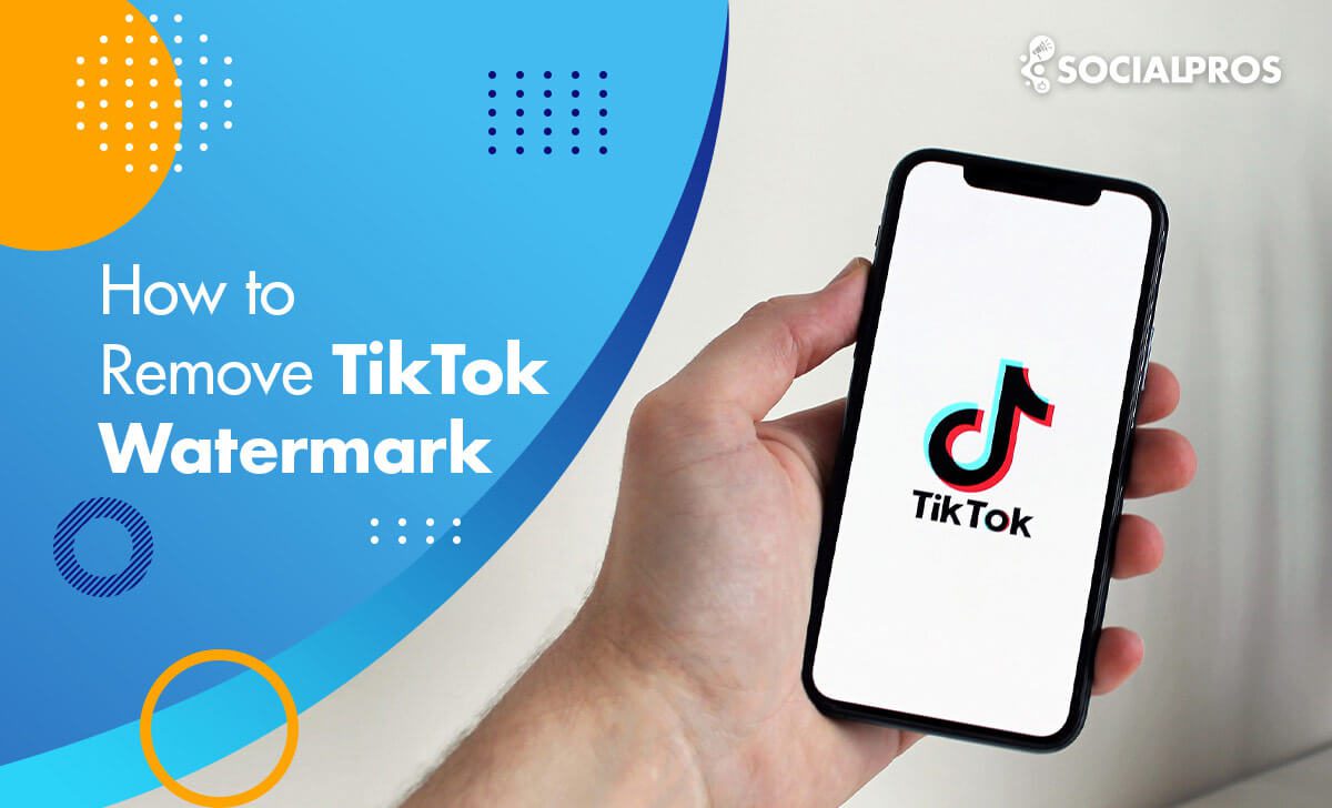 You are currently viewing How to Remove TikTok Watermark in Six Steps