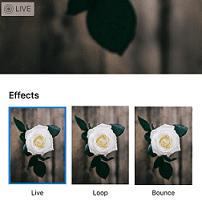 How to Post a Live Photo on Instagram in 4 Easy Steps 2 Convert a Live Photo