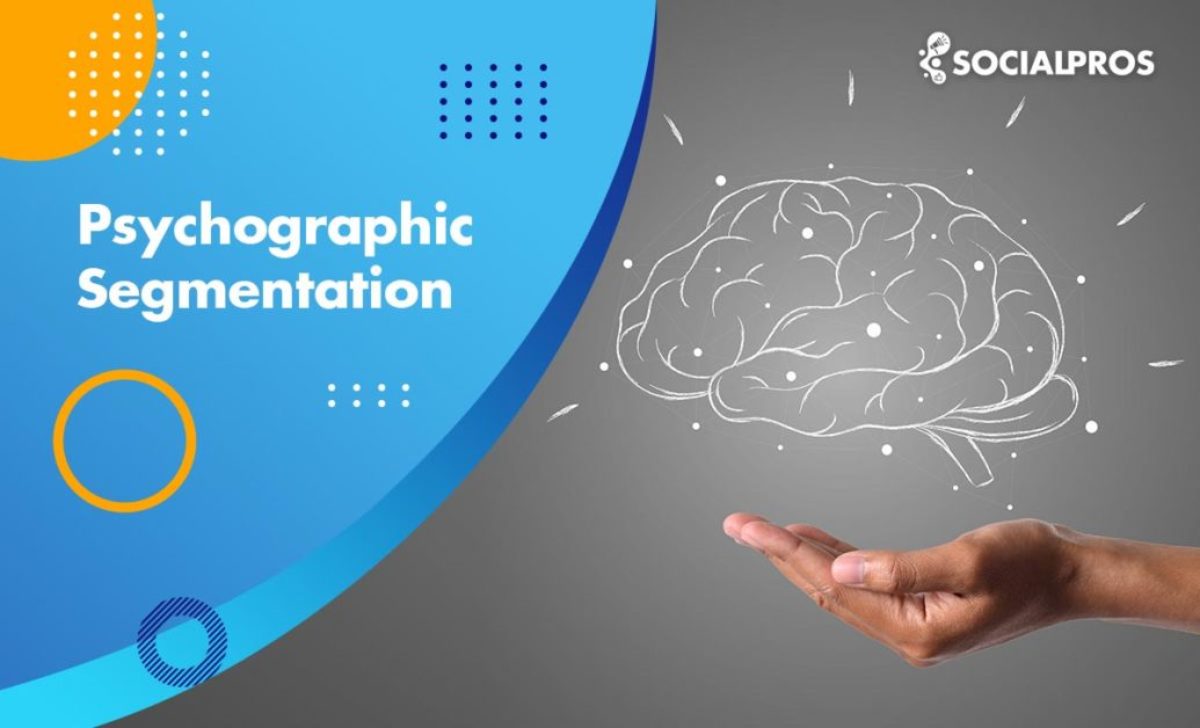 Psychographic Segmentation: Definition, Types, Importance in 2022