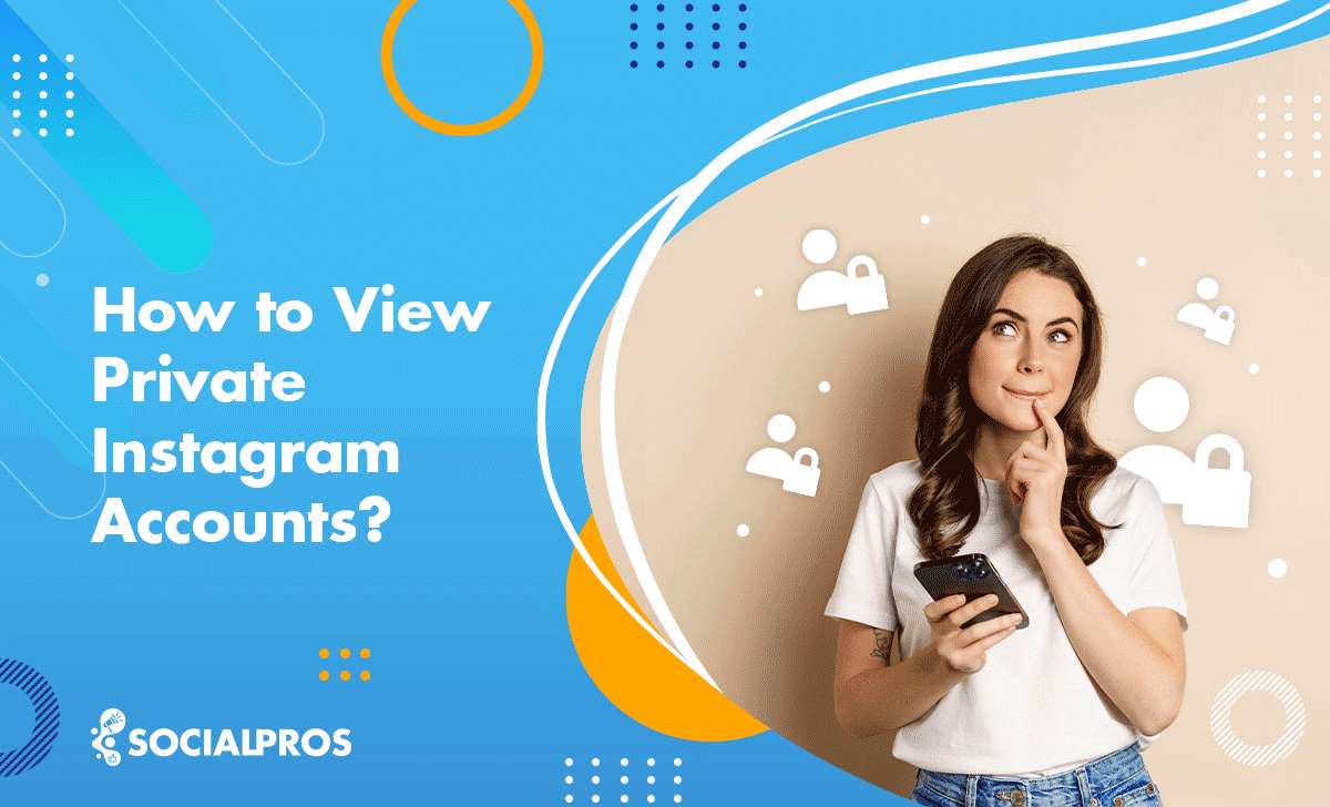 Read more about the article How to View Private Instagram Accounts in 2023 [Top Methods Revealed]